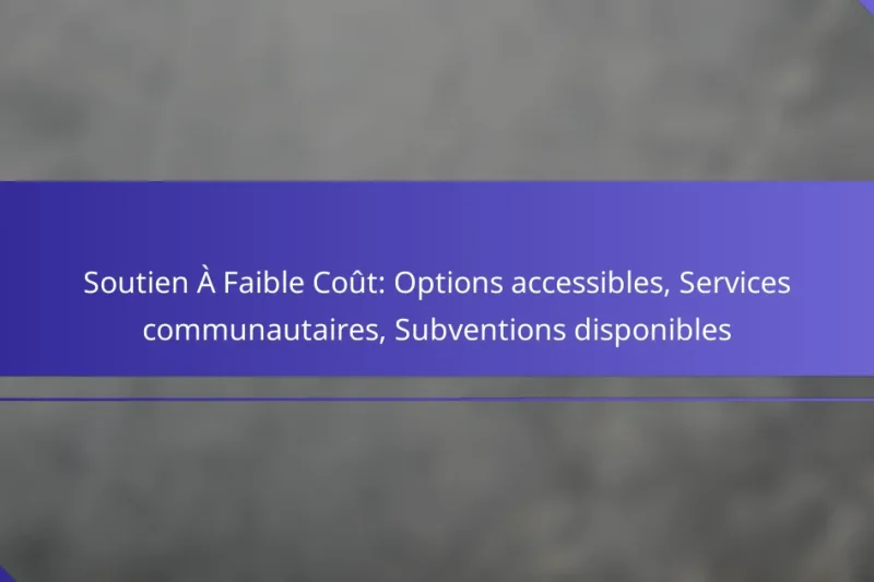 Soutien À Faible Coût: Options accessibles, Services communautaires, Subventions disponibles