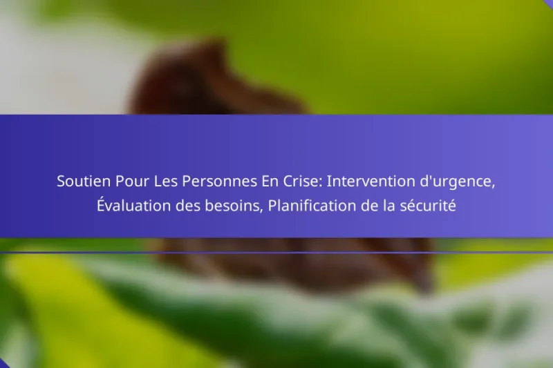 Soutien Pour Les Personnes En Crise: Intervention d’urgence, Évaluation des besoins, Planification de la sécurité
