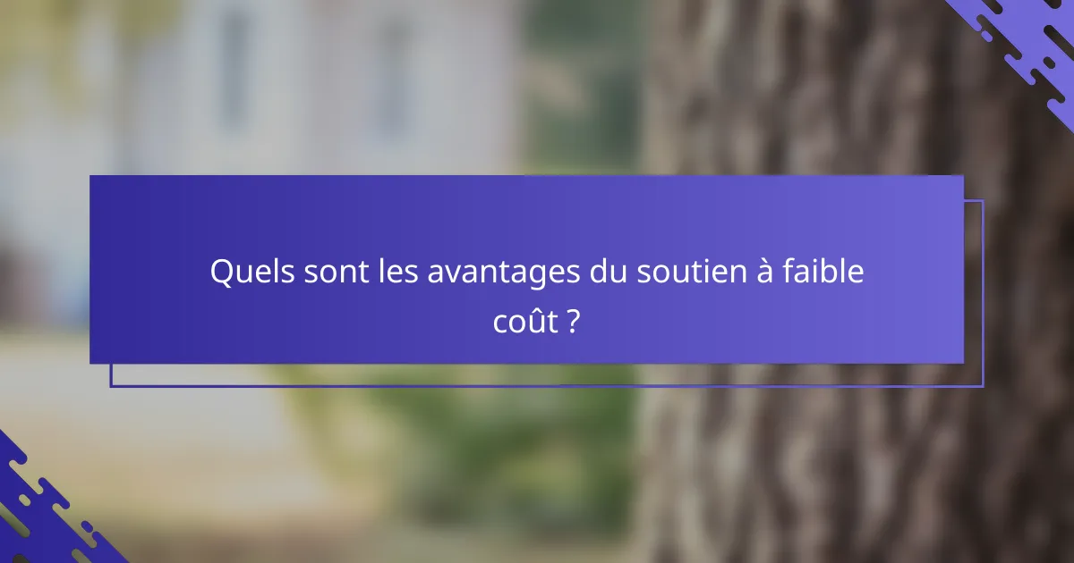 Quels sont les avantages du soutien à faible coût ?